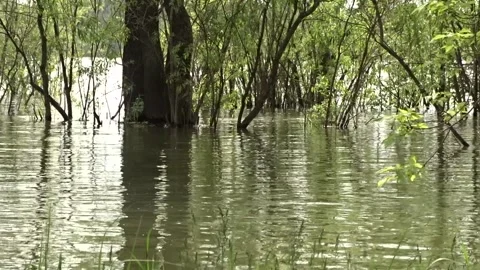 Spring flood, flood, Ob river in Siberia 스톡 동영상 277323373