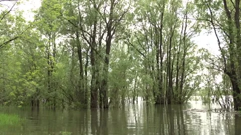 Spring flood, flood, Ob river in Siberia 스톡 동영상 277406343