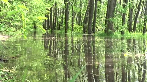 Spring flood, flood, Ob river in Siberia 스톡 동영상 277406347