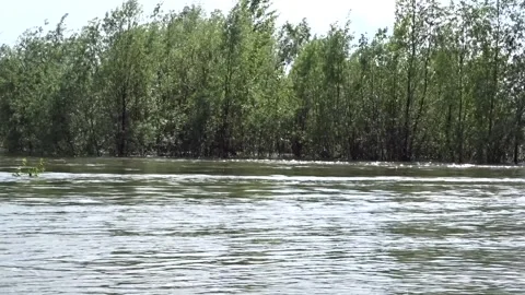 Spring flood, flood, Ob river in Siberia Stock Footage 282459437