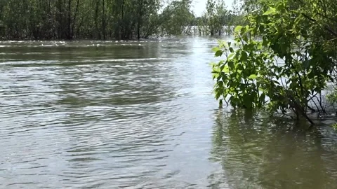 Spring flood, flood, Ob river in Siberia Stock Footage 282459464