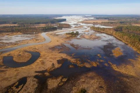 Spring flood on floodplain. Spring river view from above. River landscape Stock Photos