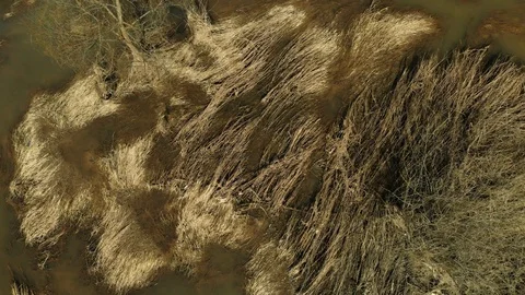 Spring flood Vidéo 89215550