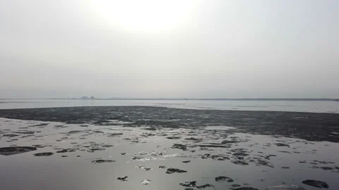 Spring flood of the lake, leaves float on the water, ice melts, oil stains Stock Footage 153026705