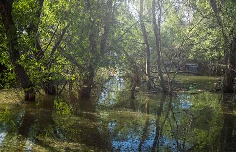 Spring flood Stock Photos