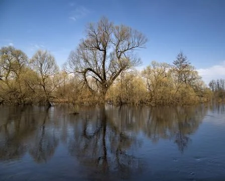 Spring flood Stock Photos