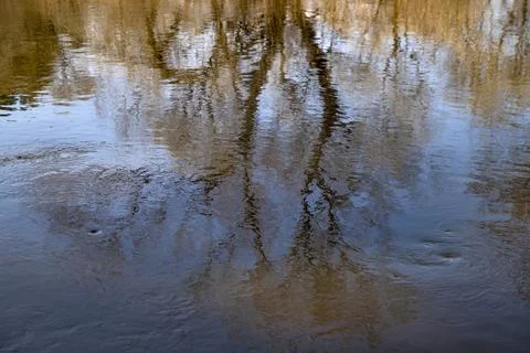 Spring flood reflections Foto stock