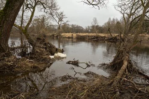 The spring flood. the river after the ice melts. Stock Photos