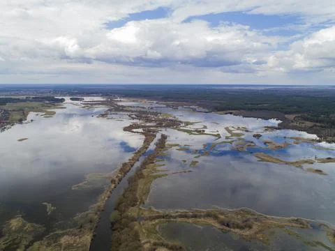 Spring flood on the river. Flooding of meadows Volyn, Ukraine. Stock Photos