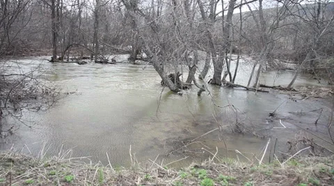 Spring flood of the river Stock Footage 62409611