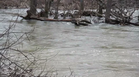 Spring flood of the river Stock Footage 62415292