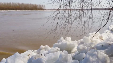 Spring flood on the river Video stock 152845105