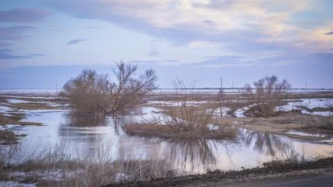 Spring flood on the river Stock-Fotos