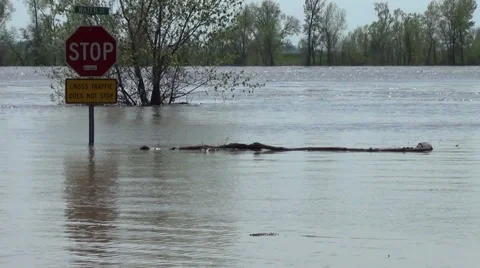 Spring flood sends river over  bank covering roadway Stock Footage 54756865