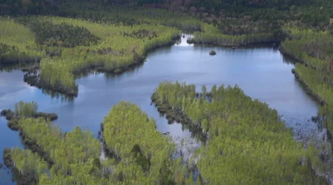 Spring flood of the taiga river 스톡 동영상 54804286