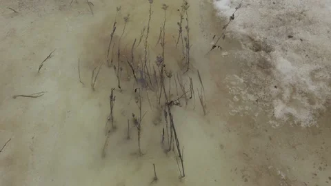 Spring flood through last year's flowers Stock Footage 153578322