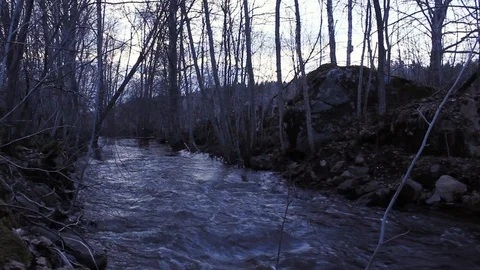 Spring flood of a usually small river in a forest in northern Sweden. Stock Footage 90128534