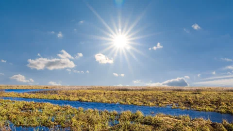 Spring flooded field under a sparkle sun Vidéo 334290642