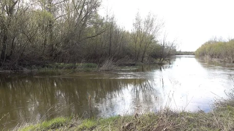 Spring flooded river. Panning. 4K stock video footage Stock Footage 103817716