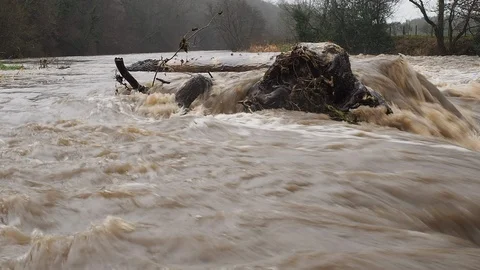 Spring Flooding And Fast Moving River Stock Footage 91865228