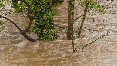 Spring Flooding And Fast Moving River Stock Footage 91866226