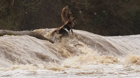 Spring Flooding And Fast Moving River Stock Footage 91866323