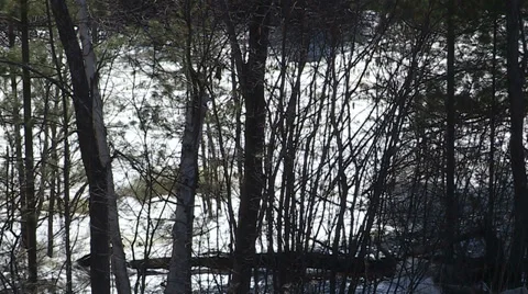 Spring flooding and rushing water after long cold snowy winter Stock Footage 39354142