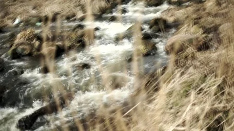 Spring flooding Stock Footage 48553888