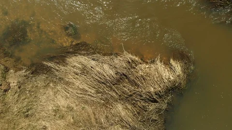 Spring flooding Stock Footage 89215658