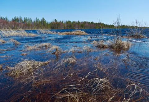 Spring flooding on the lake Foto stock