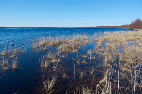 Spring flooding on the lake Stock Photos