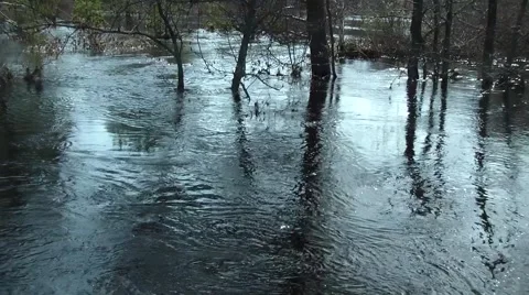 Spring floods Stock Footage 48013455