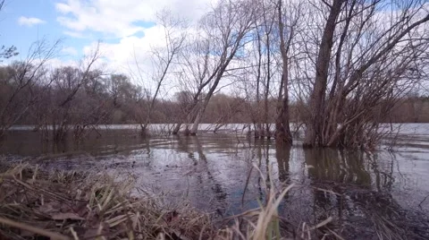 Spring floods Stock Footage 49509150