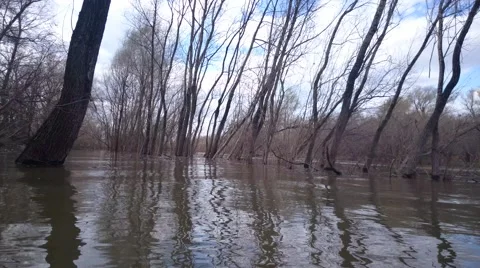 Spring floods Stock-Footage 49509153