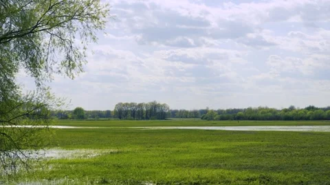 Spring Floodwaters Submerging Green Meadow Landscape With Distant Forest 库存影片 334667739