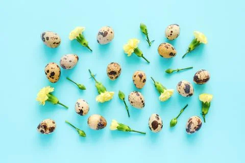 Spring floral and eggs backdrop or wallpaper. Yellow flowers and organic natu Stock Photos
