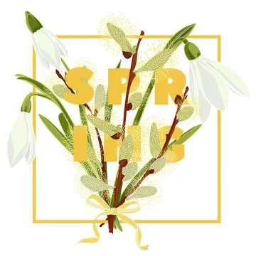 Spring floral background with beautiful snowdrop and pussy willow flower Stock Illustration