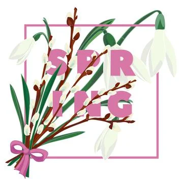 Spring floral background with beautiful snowdrop and pussy willow flower 스톡 일러스트