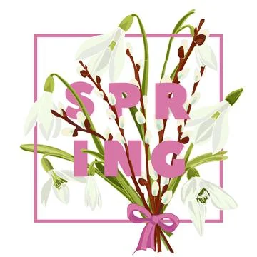 Spring floral background with beautiful snowdrop and pussy willow flower Stock Illustration