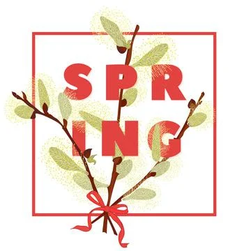 Spring floral background with beautiful snowdrop and pussy willow flower Stock Illustration