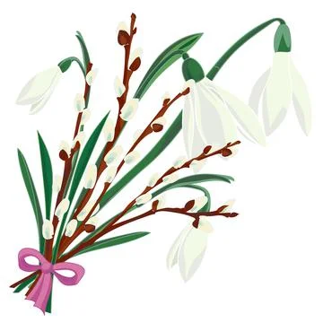 Spring floral background with beautiful snowdrop and pussy willow flower Stock Illustration
