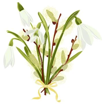 Spring floral background with beautiful snowdrop and pussy willow flower Stock Illustration