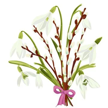 Spring floral background with beautiful snowdrop and pussy willow flower 스톡 일러스트
