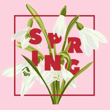 Spring floral background with beautiful snowdrop flowers Stock Illustration
