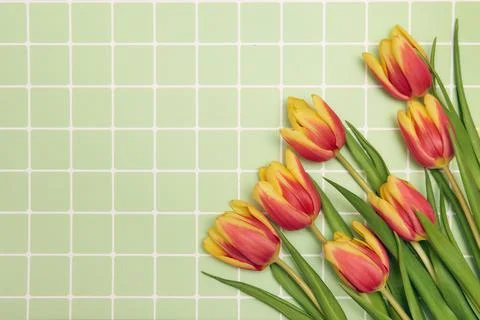 Spring floral background with copy space. Flat-lay frame made of tulips bloss Stock Photos