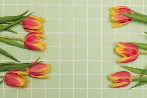 Spring floral background with copy space. Flat-lay frame made of tulips bloss Stock Photos