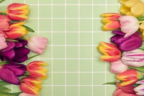 Spring floral background with copy space. Flat-lay frame made of tulips bloss Stock Photos