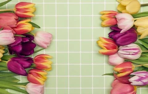 Spring floral background with copy space. Flat-lay frame made of tulips bloss Stock Photos