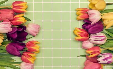 Spring floral background with copy space. Flat-lay frame made of tulips bloss Stock Photos