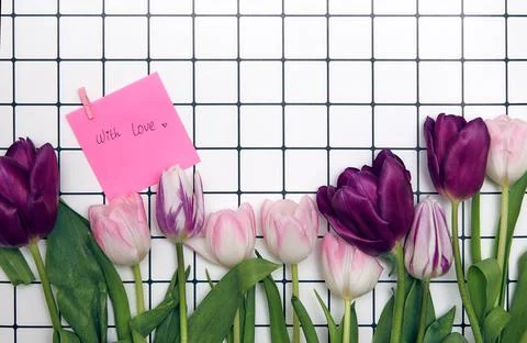 Spring floral background with copy space. Flat-lay frame made of tulips bloss Stock Photos